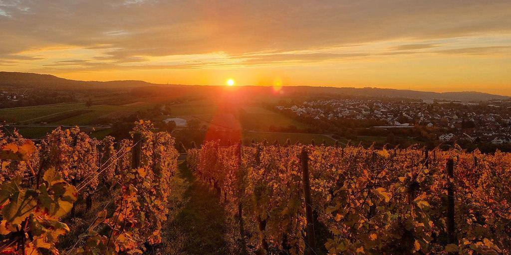 Sonnenuntergang über den Weinbergen mit Blick ins Sulmtal
